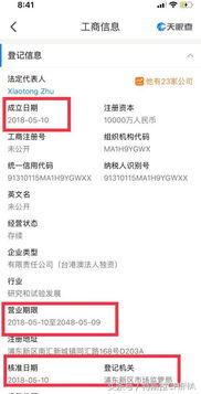 亏损的特斯拉如何在上海建超级工厂？——拍卖业务的意外助力